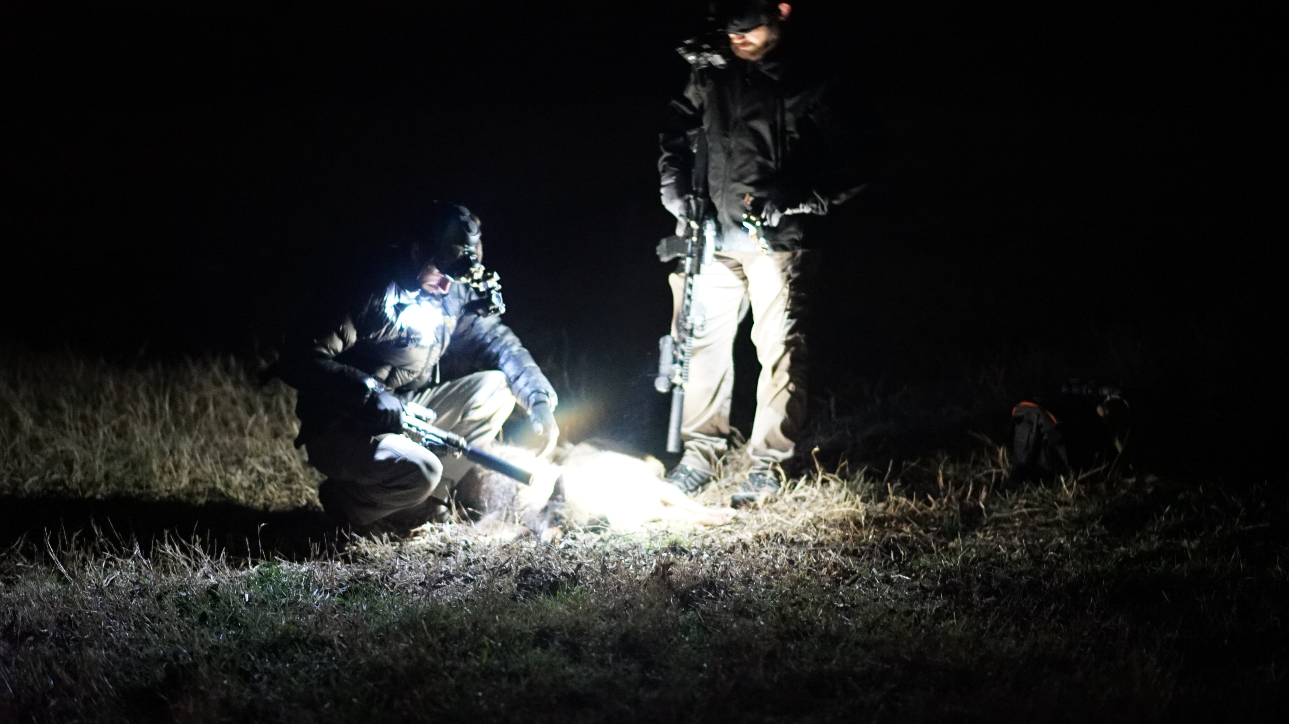 night-vision-rental-hog-hunt