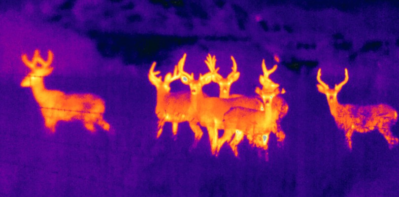 flir hunting camera