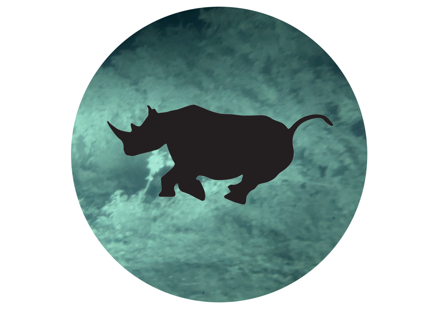 Night Vision Rentals Eco Defense T Shirt